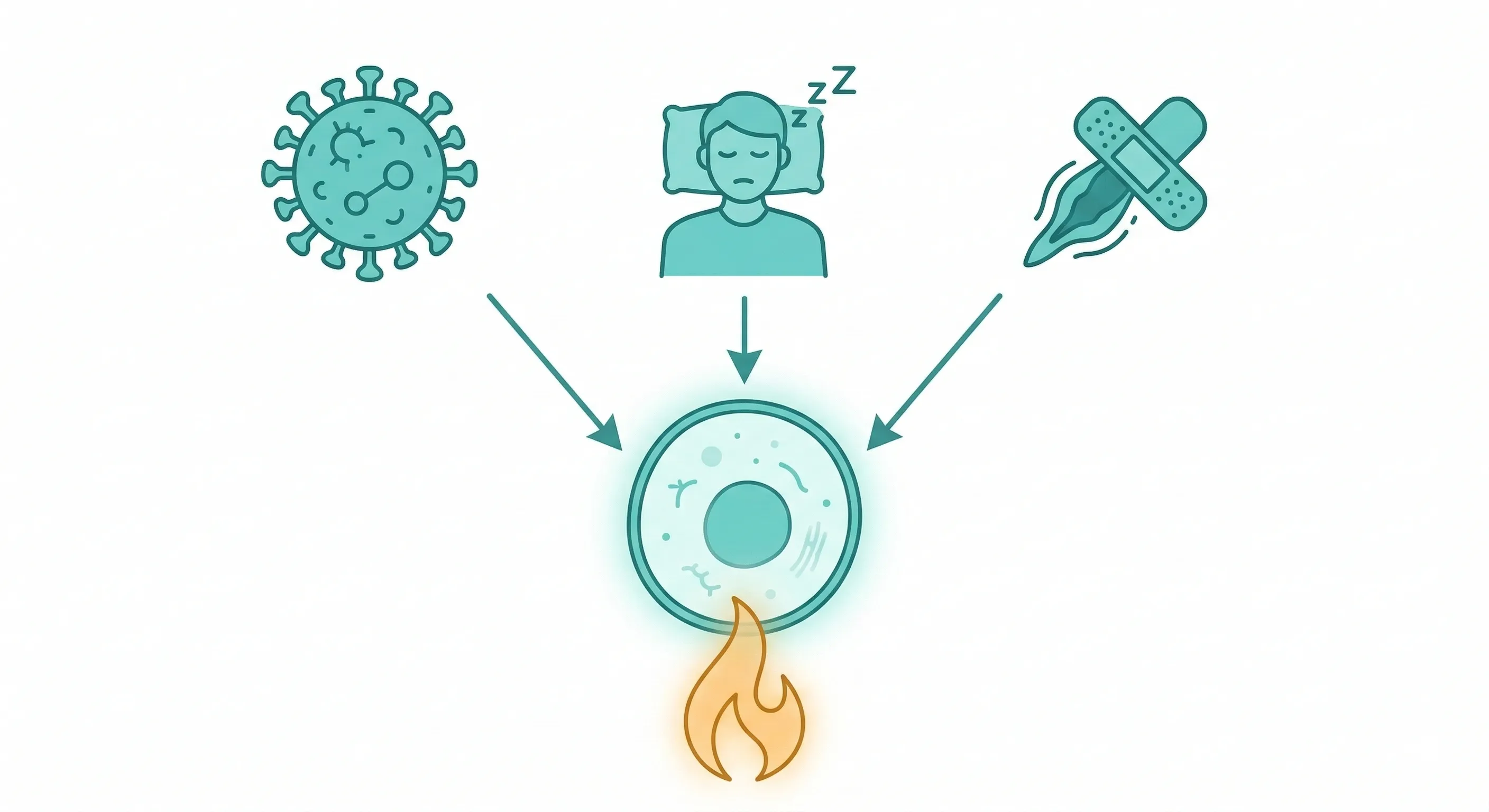 三個症狀共同底層