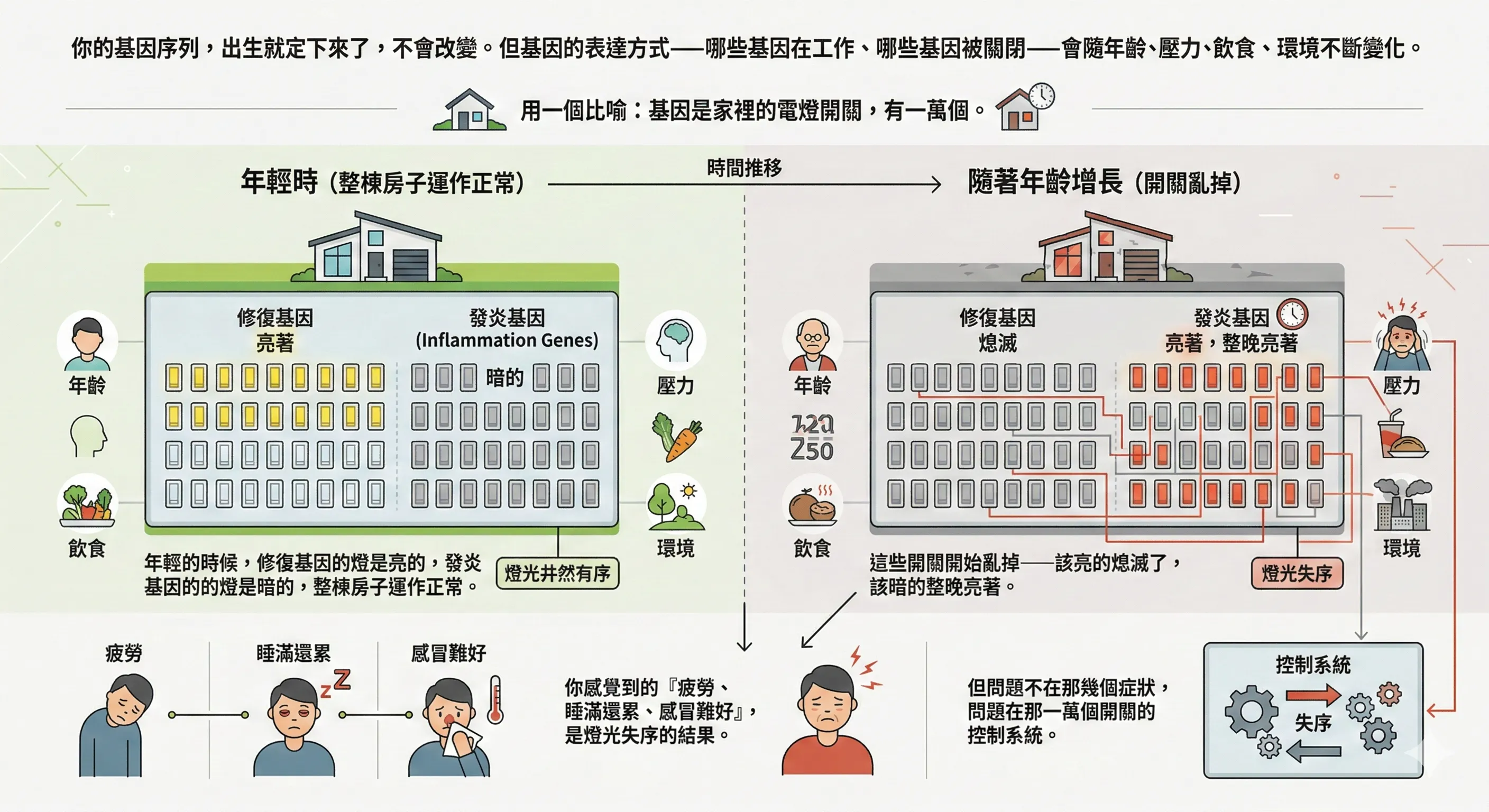 基因是一萬盞燈開關
