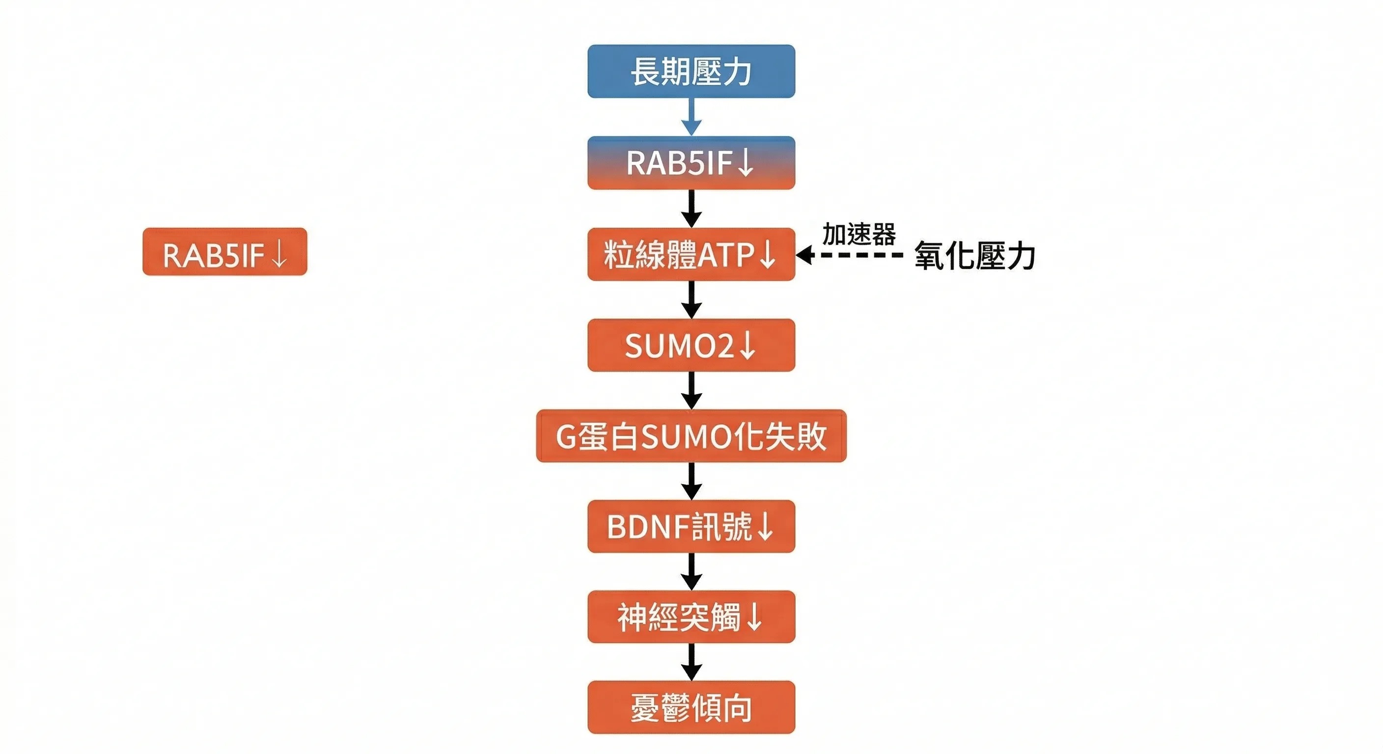 從感受到壓力到情緒出問題