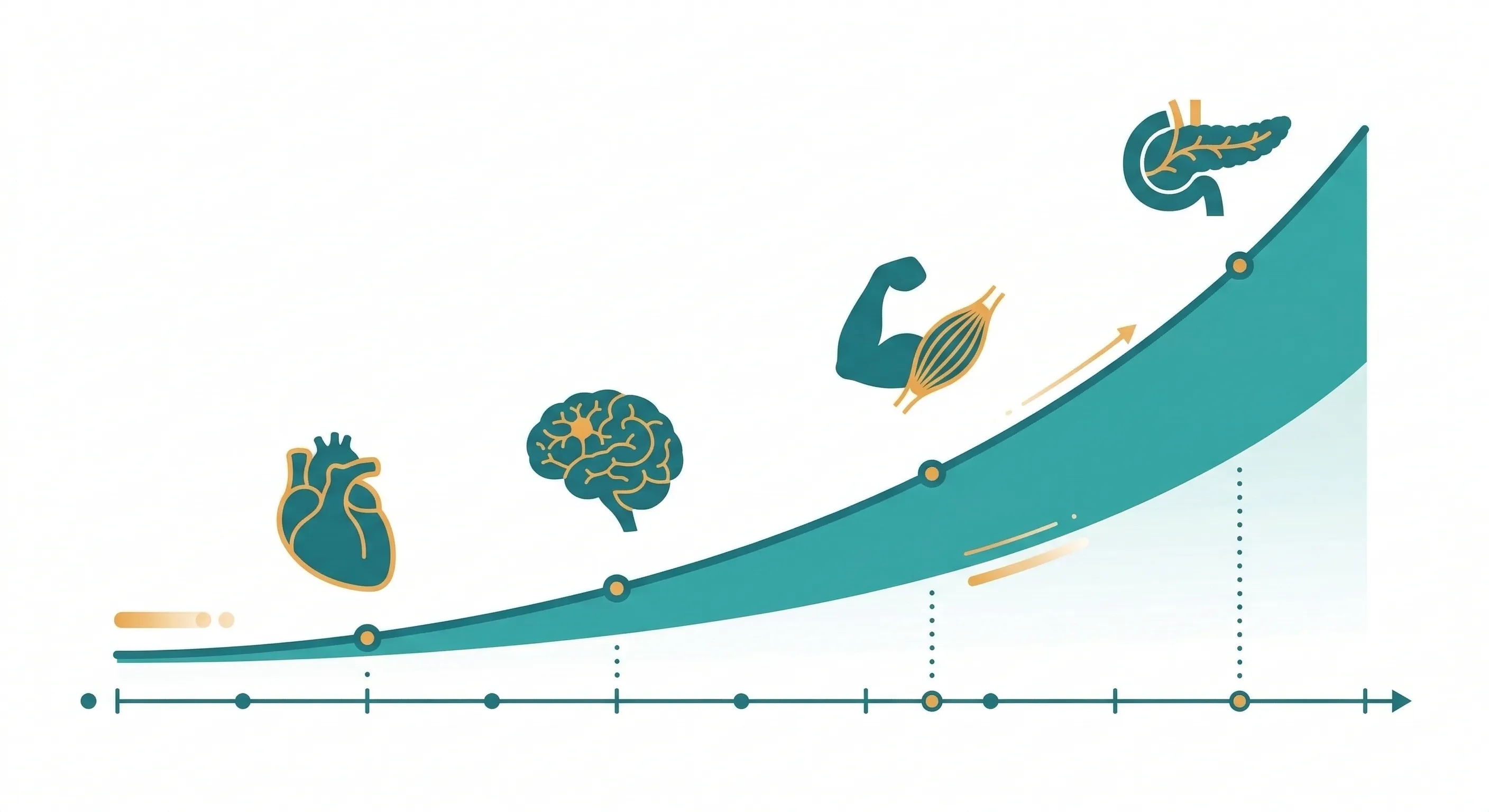 慢性發炎與老化關聯