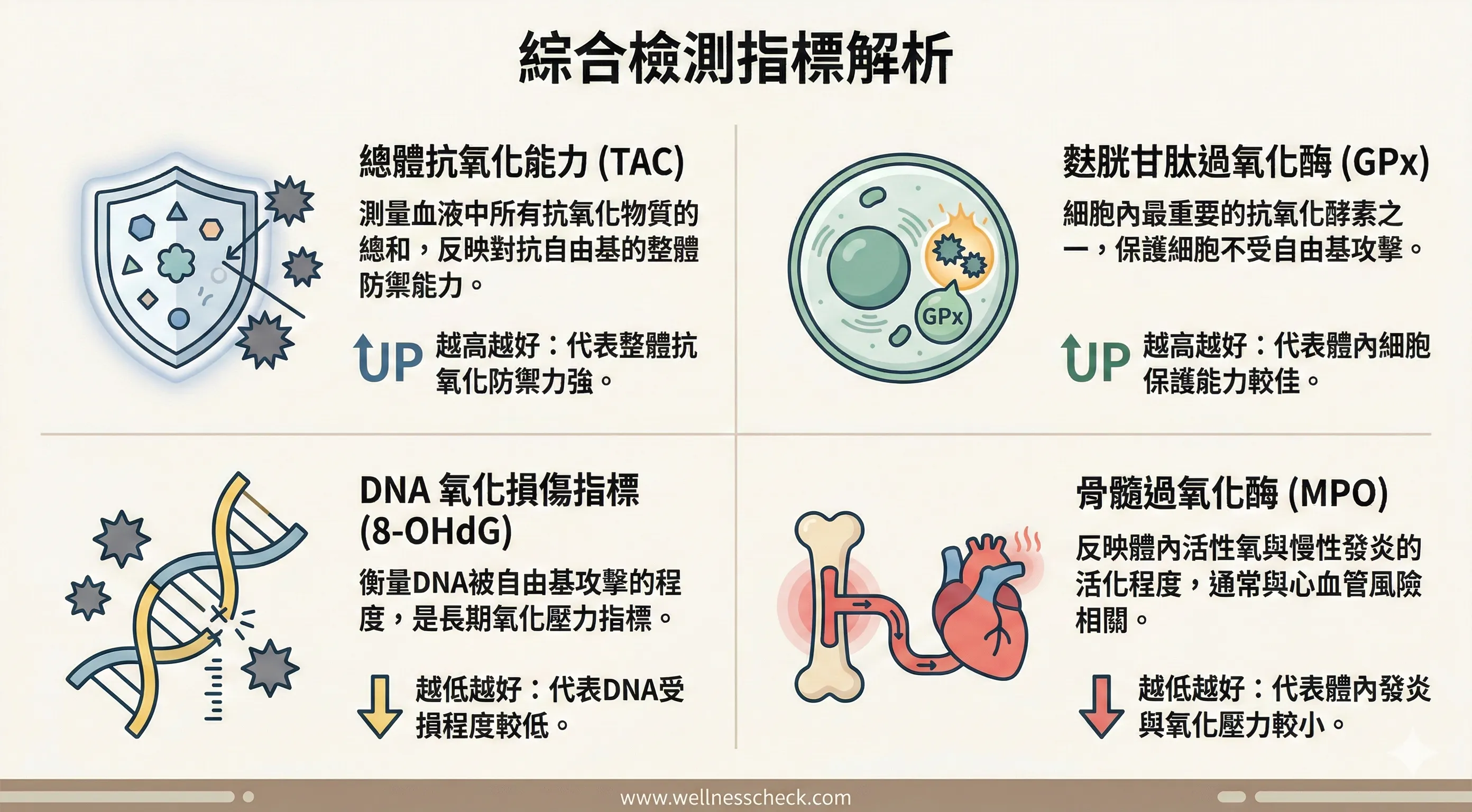 抗氧化壓力抽血檢驗