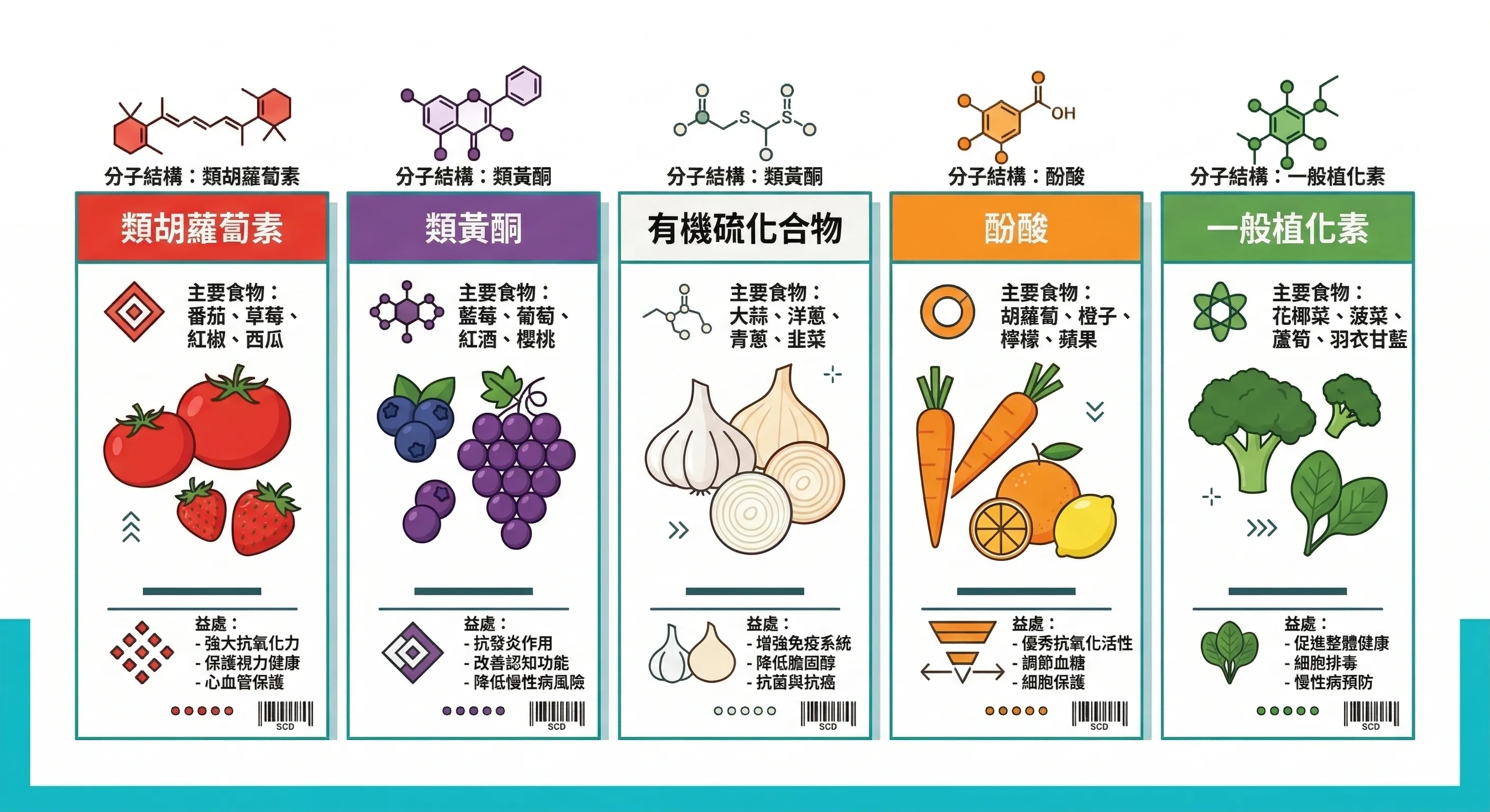 植化素五大類與蔬果顏色對應