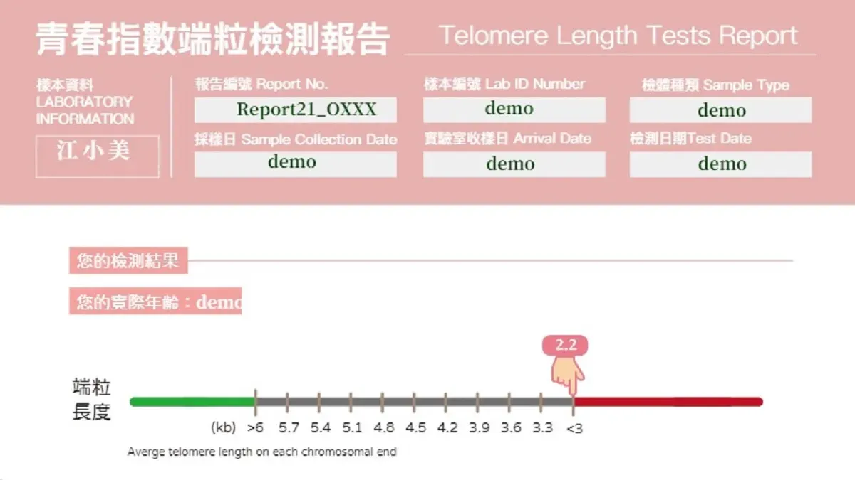 端粒檢測報告