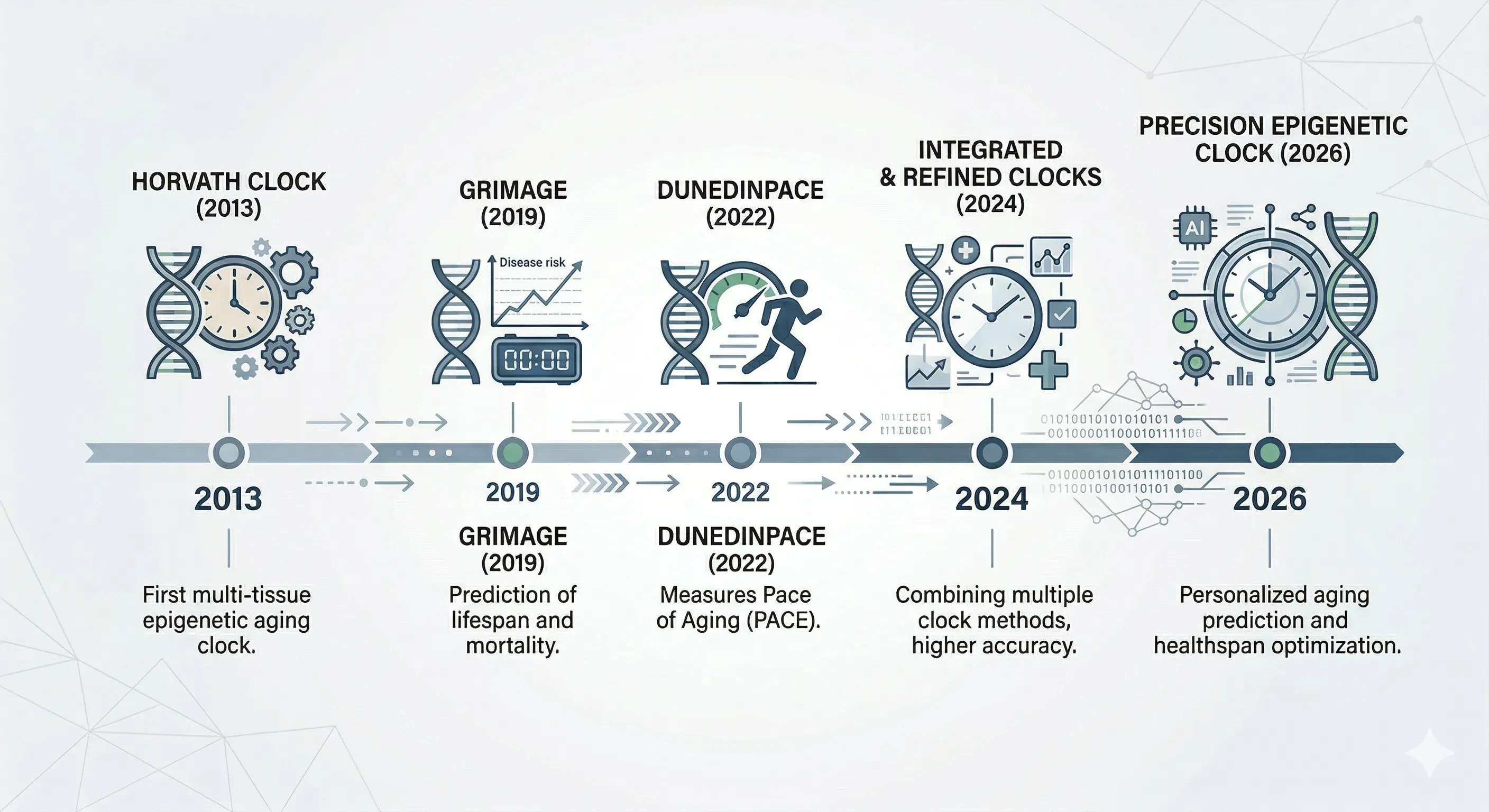 表觀遺傳鐘演進時間軸