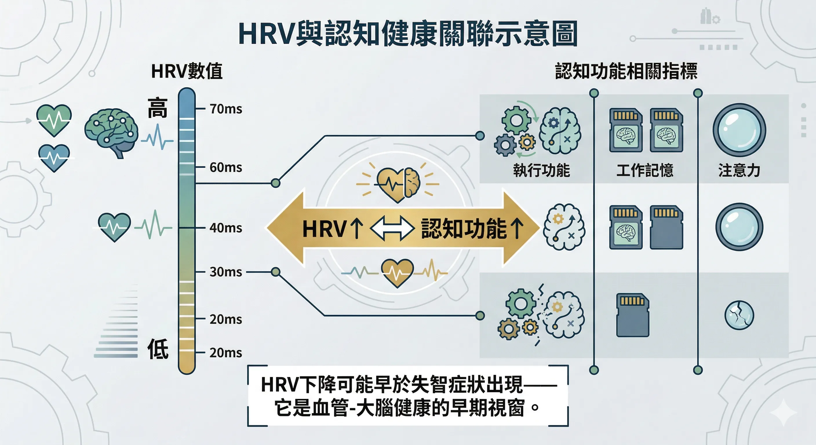 HRV與認知健康