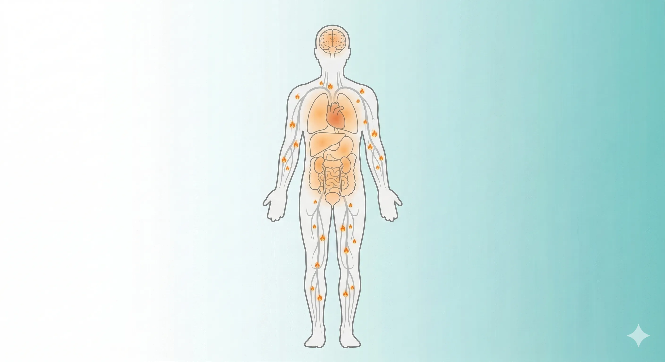 Inflammaging全身性發炎